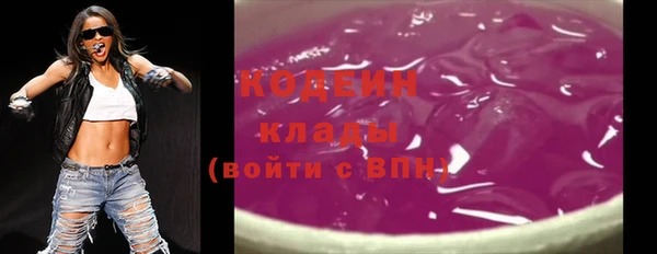гидра Арсеньев
