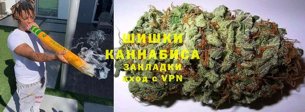 гидра Арсеньев