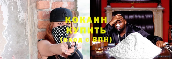 гидра Арсеньев