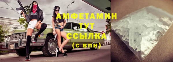 гидра Арсеньев