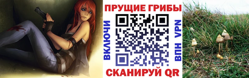 купить наркоту  Калач-на-Дону  мега ссылка  Псилоцибиновые грибы Cubensis 